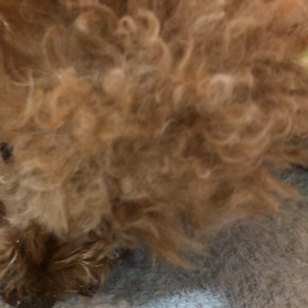 普通の日々の画像