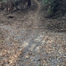 新ルートの画像