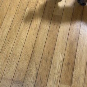 またまたあわちゃんの画像