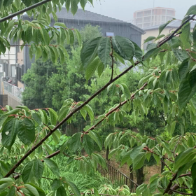 雨音&テンション⚡️の画像