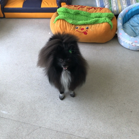 ♪プレイルーム動画♪の画像