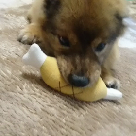 惚れてまうやろぉぉぉ〰の画像