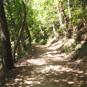 2019.6.1 兵庫県 六甲最高峰から魚屋道を下る動画の画像
