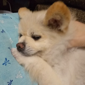 そういう言い方っての画像