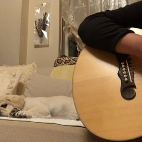 斉藤和義さんの盲導犬のＣＭ曲 耳コピしてみた。の画像