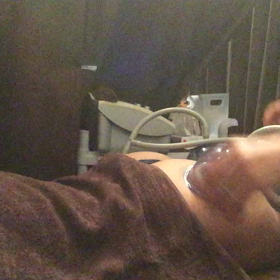 ブルーカッブの画像