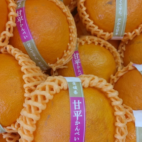 ラインのアカウントけしてしもた〰️の画像