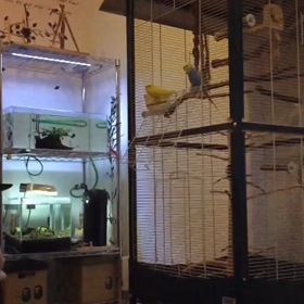 スローモーション！の画像