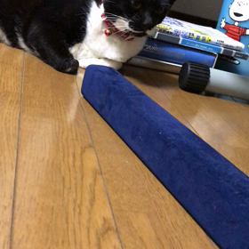 はるばる来たぜ、栃木。の画像