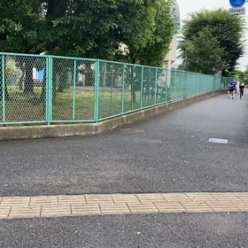 7月5日 ロード練習⑦の画像