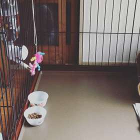 引っぱりごっこの画像