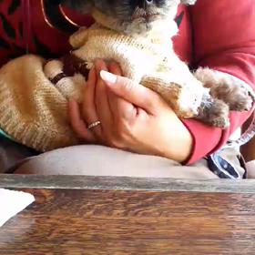 気になる二人の画像