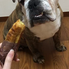 焼き芋食べてみた（笑）の画像