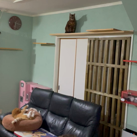 降りれませんの画像