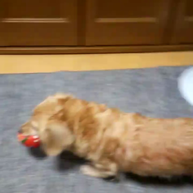 6月も終わりましたね～の画像