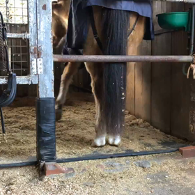 食事風景の画像