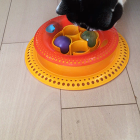 この程度じゃ騙されん！の画像