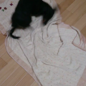 ゴロスリ～の画像