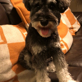 かわいいポーズ2の画像