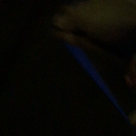 ポップと初お散歩❤️の画像