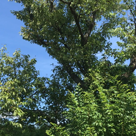 おはようございます（╹◡╹）の画像