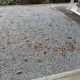 風のいたずら　木の葉のダンスの画像