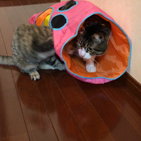 よいお年を！(Have a happy new year!)の画像