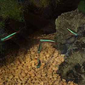 飲みすぎました…の画像