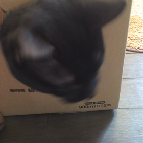 脱出成功の画像