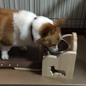 テーブルでご飯の画像