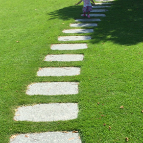 水辺の森の画像