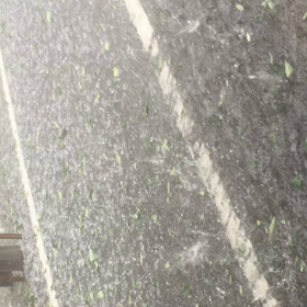 ゲリラ豪雨の画像