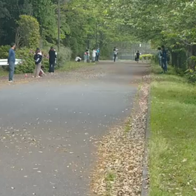 リレー選考会(男子)ゴール付近⑨の画像