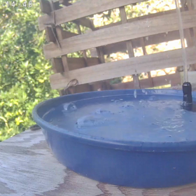 すぎぴたんの事件簿シーズン3　382話（【閲覧注意】来店お断り！ヘビー（Heavy）な動画！）の画像