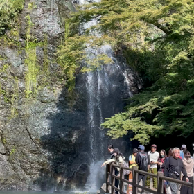 そろそろ紅葉の画像