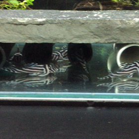 震災から5年の画像