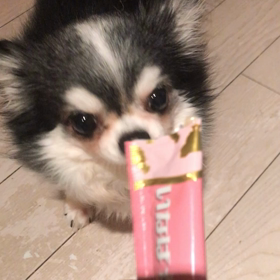 ガブおやつタイムの画像