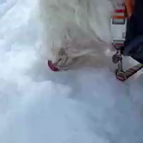 めいちの動画！の画像