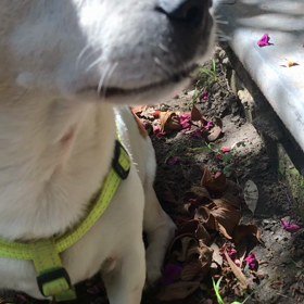 海もダメの画像