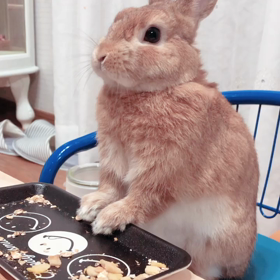 ないないと焦るなら、あるあると焦ってみよう̽̈の画像