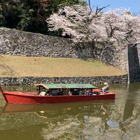 桜リレーの画像