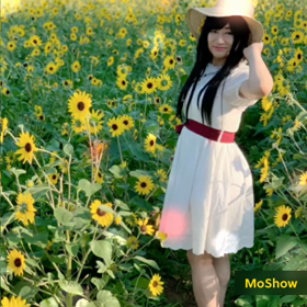 ひまわり畑のスライドショー…もぅ一個つくったのよん編♪♡の画像