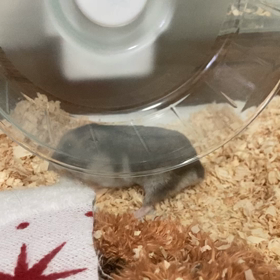 掃除後２の画像