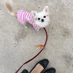 今日も元気での画像