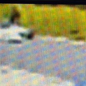 西に止め直し　Σ('◉⌓◉’)の画像