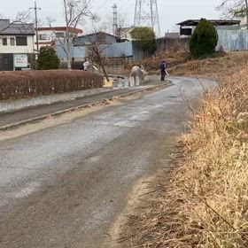 駅伝コース前半（公園前）⑭の画像