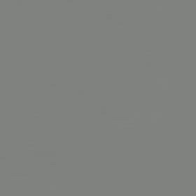 今日のフルートの画像