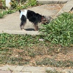 10分が限界の画像