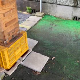 心配していたチームMのオリフラ確認！の画像