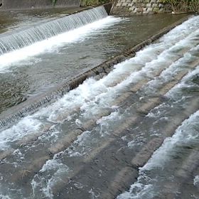 雨の隙間をついて…の画像